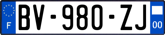 BV-980-ZJ