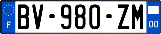 BV-980-ZM