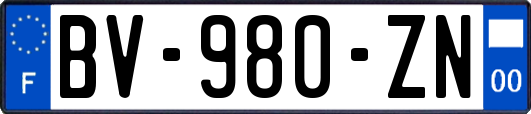 BV-980-ZN