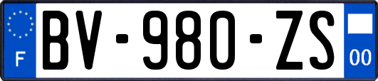 BV-980-ZS