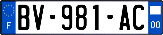 BV-981-AC