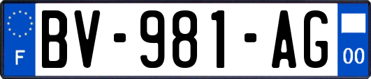 BV-981-AG