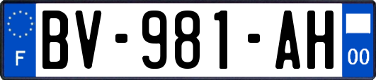 BV-981-AH