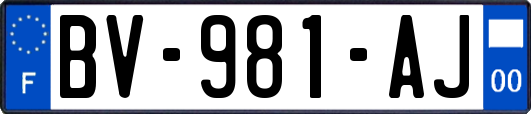 BV-981-AJ