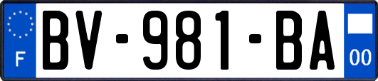 BV-981-BA