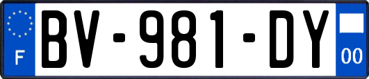 BV-981-DY