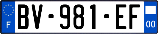 BV-981-EF