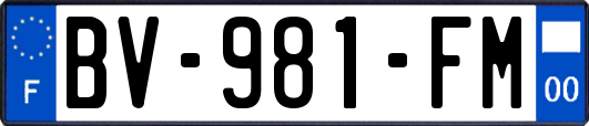 BV-981-FM
