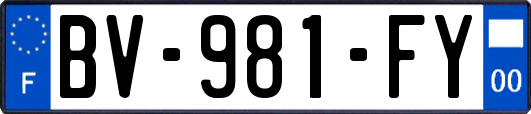 BV-981-FY