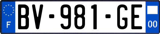 BV-981-GE
