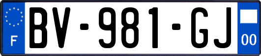 BV-981-GJ