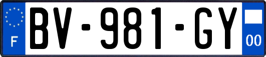 BV-981-GY