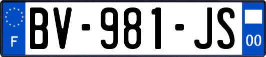 BV-981-JS