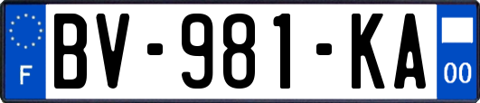 BV-981-KA