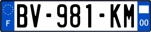 BV-981-KM