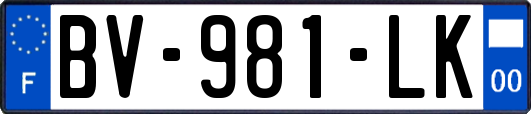 BV-981-LK