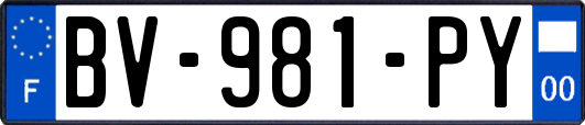 BV-981-PY