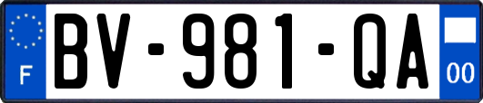 BV-981-QA