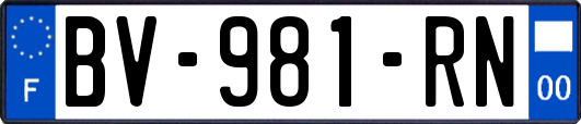 BV-981-RN