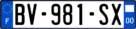 BV-981-SX