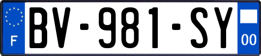 BV-981-SY