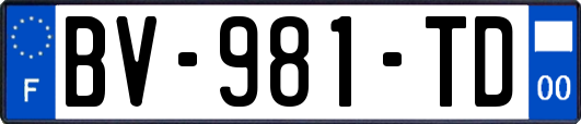 BV-981-TD