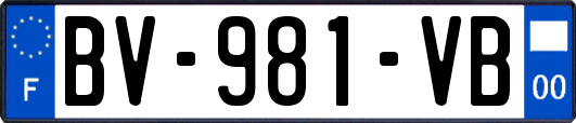 BV-981-VB