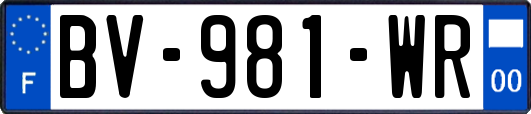 BV-981-WR