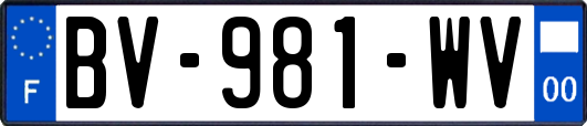 BV-981-WV