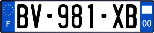 BV-981-XB