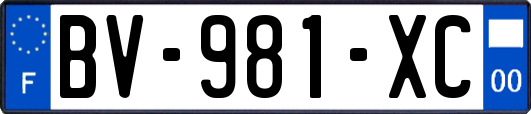 BV-981-XC