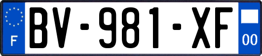 BV-981-XF