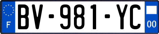 BV-981-YC