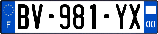 BV-981-YX