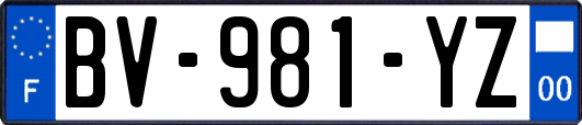 BV-981-YZ