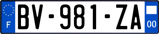 BV-981-ZA