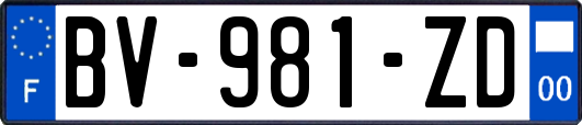 BV-981-ZD