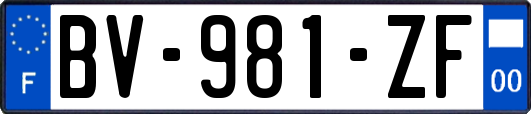 BV-981-ZF