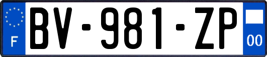 BV-981-ZP