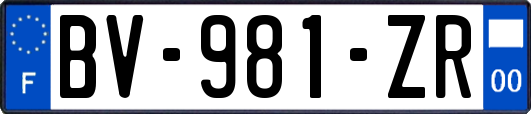 BV-981-ZR