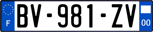 BV-981-ZV