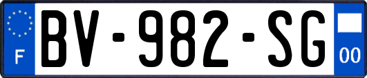 BV-982-SG