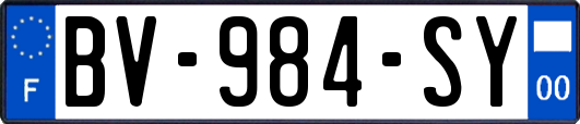 BV-984-SY