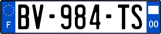 BV-984-TS