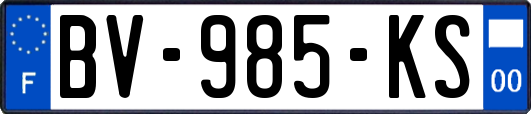 BV-985-KS