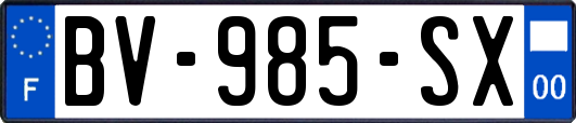 BV-985-SX