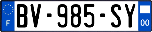 BV-985-SY