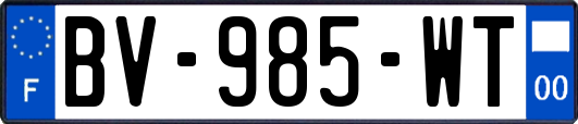 BV-985-WT