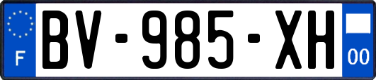 BV-985-XH