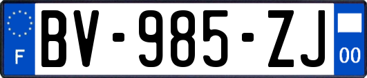 BV-985-ZJ